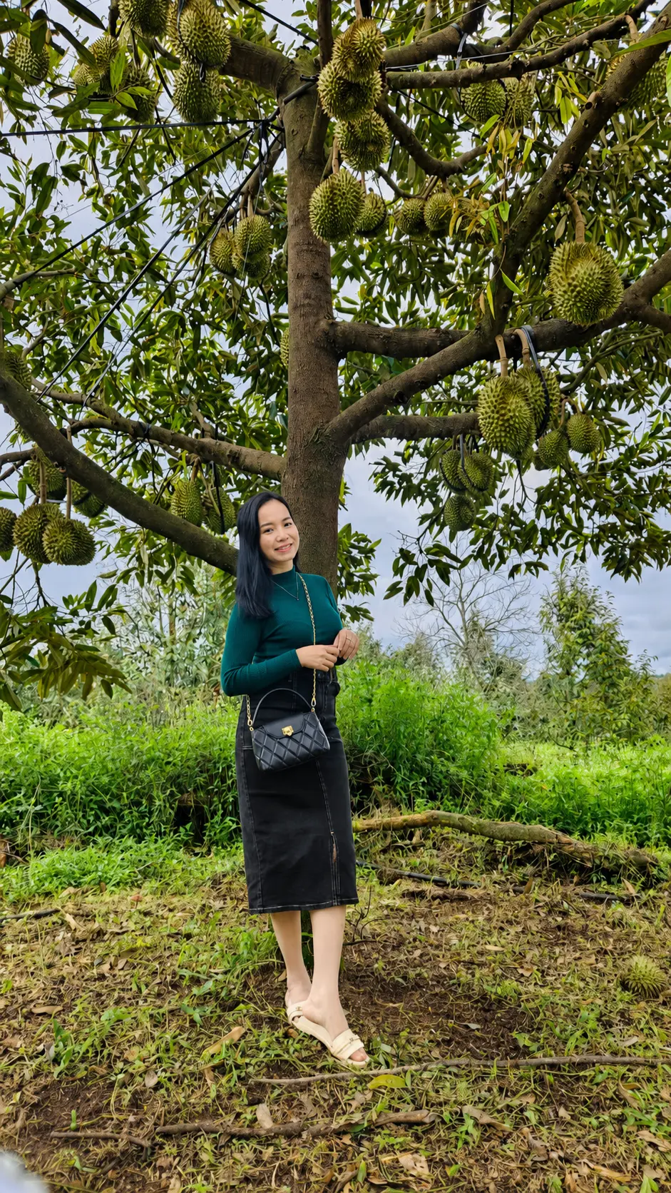 Ngọc Hoan thăm vườn sầu riêng tại Đắk Lắk